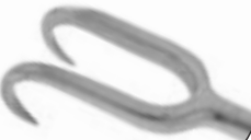 Joseph Skin Hook